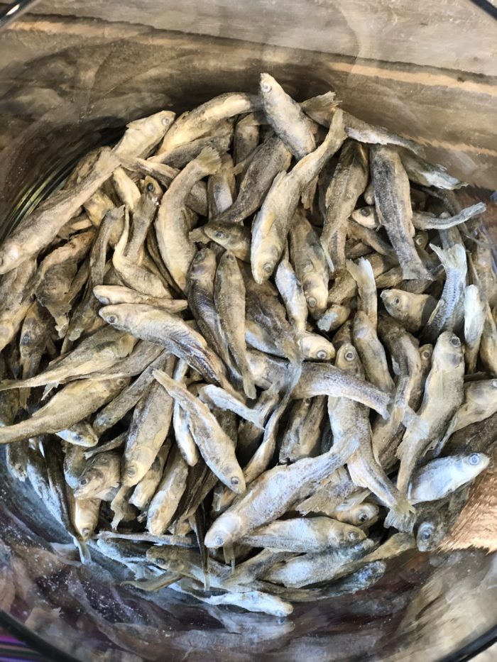 Freeze Dried Minnows (per oz) - Pet Wants Charlotte